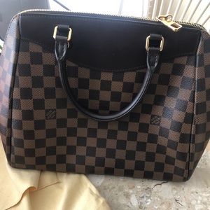 Authentic Louis Vuitton Damier Ebene Mews